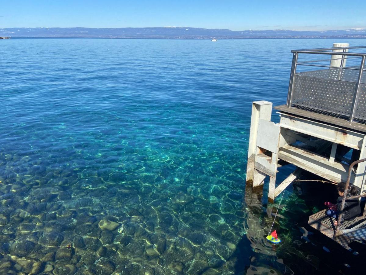 Bord De Lac,2 Chambres Superbe Vue Lac 5Mn Evian Lugrin Exterior photo