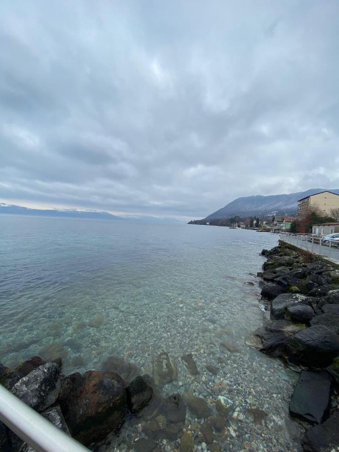 Bord De Lac,2 Chambres Superbe Vue Lac 5Mn Evian Lugrin Exterior photo