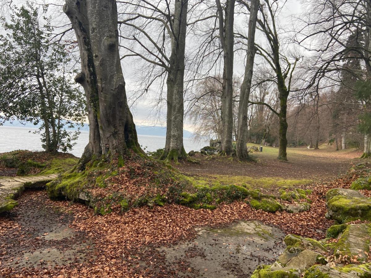 Bord De Lac,2 Chambres Superbe Vue Lac 5Mn Evian Lugrin Exterior photo