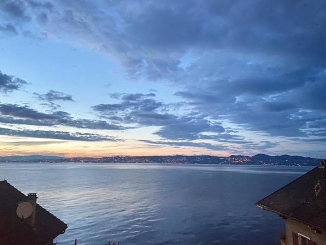 Bord De Lac,2 Chambres Superbe Vue Lac 5Mn Evian Lugrin Exterior photo